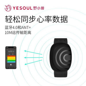 Yesoul V206 Smart Bracelet Bluetooth Heart Rate Monitor Armband Resmi